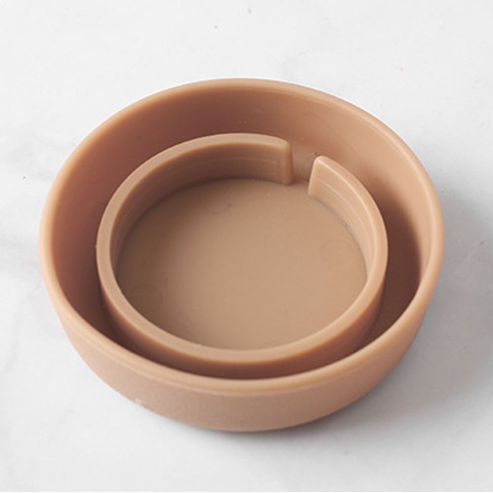 Round Cactus Succulent Plants  - Echeveria Succulent review and price