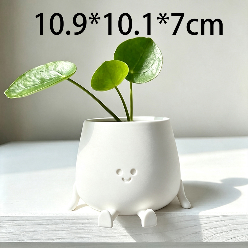 3D Printed Cute Smiley Face Pl - Echeveria Succulent review and price