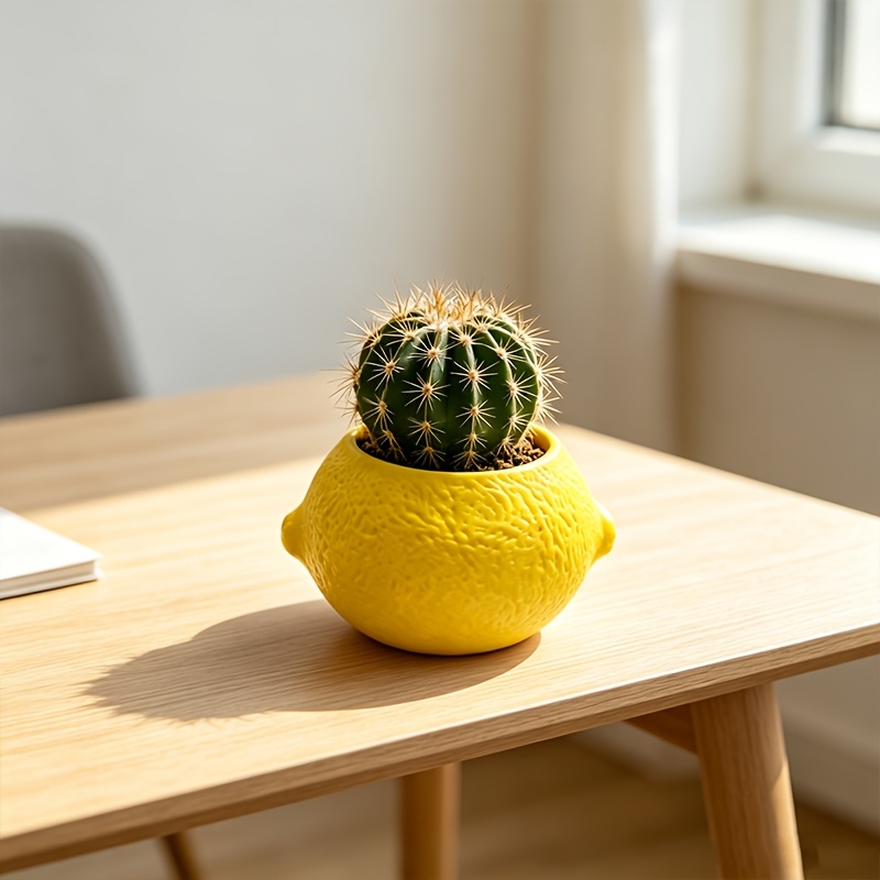 Lemon Shape Decorative Planter - Echeveria Succulent review and price