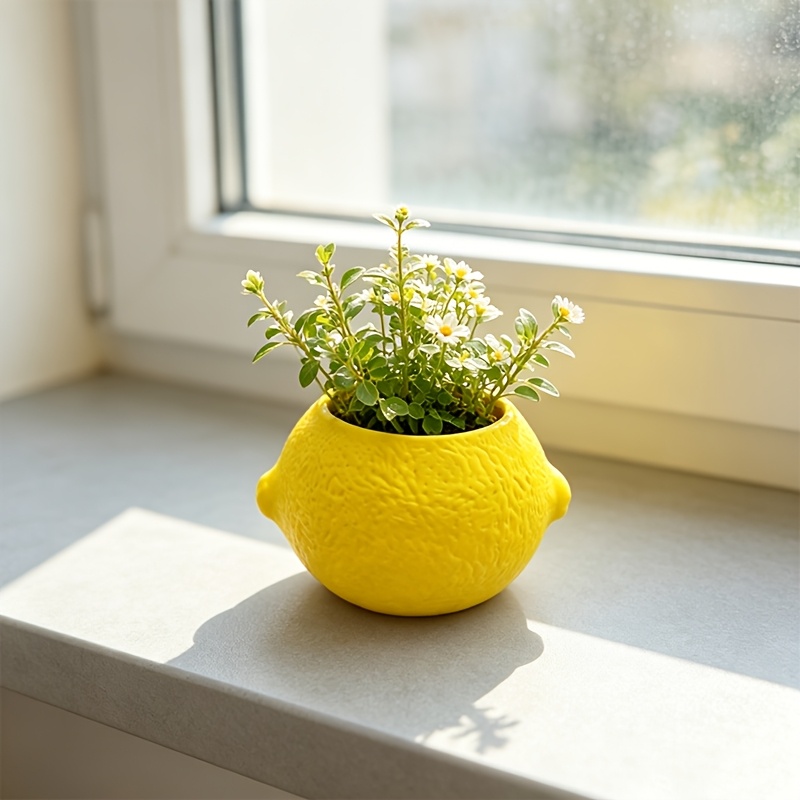 Lemon Shape Decorative Planter - Echeveria Succulent review and price