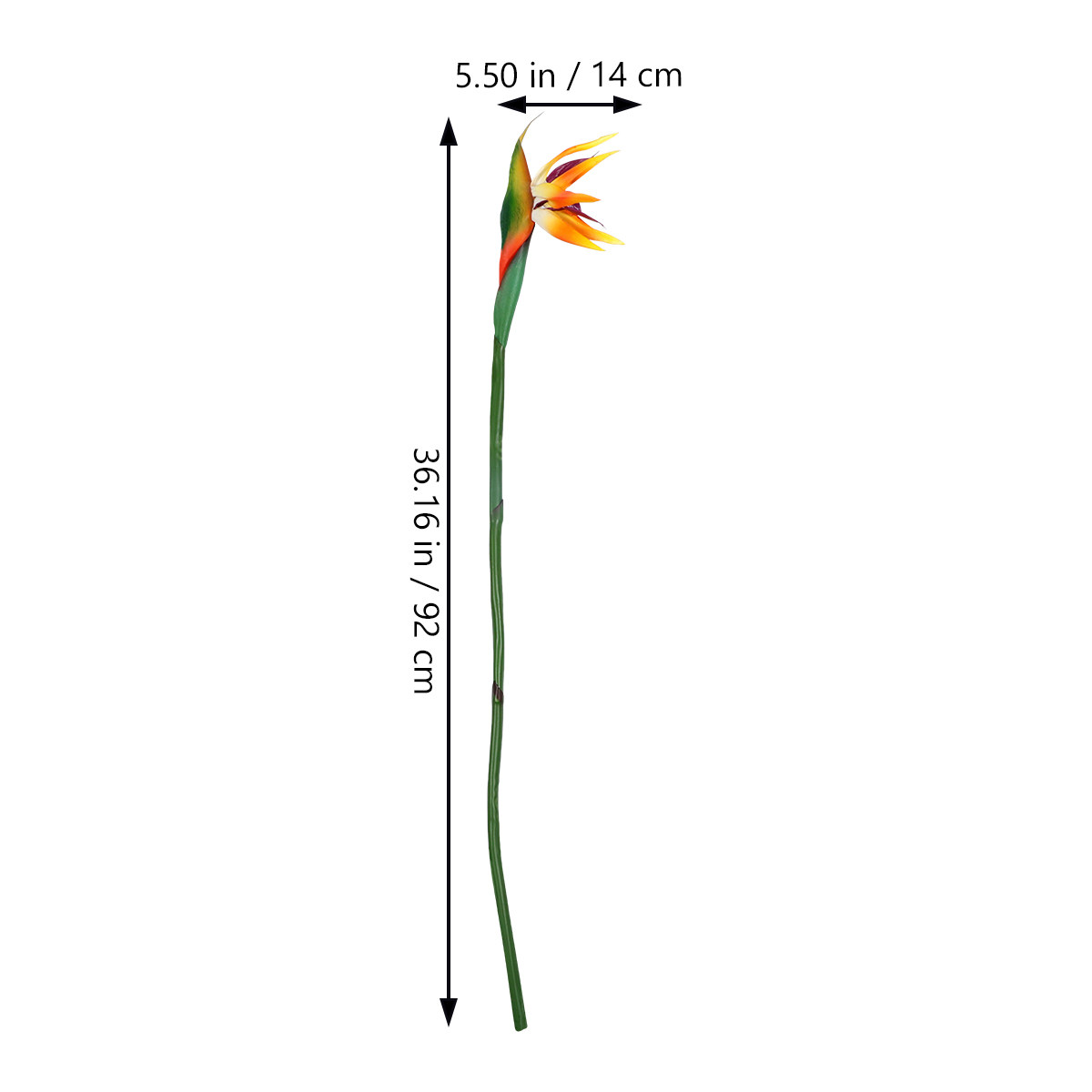 Artificial Bird of Paradise Pl - Bird Paradise Strelitzia review and price
