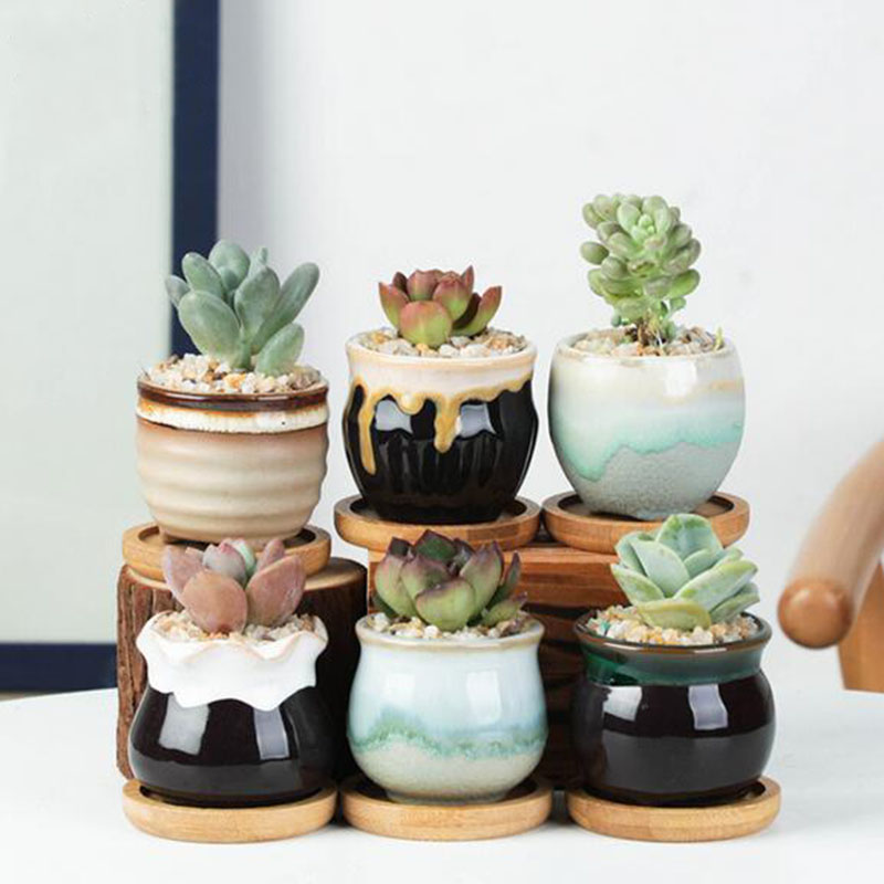 6pcs/set Ceramic Flowerpot Set - Echeveria Succulent review and price