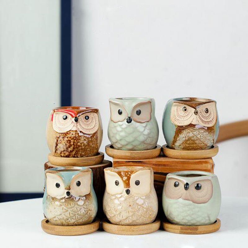 6pcs/set Ceramic Flowerpot Set - Echeveria Succulent review and price