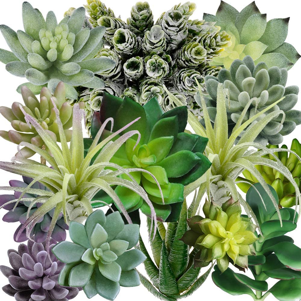 15 Pack Assorted Artificial Su - Echeveria Succulent review and price