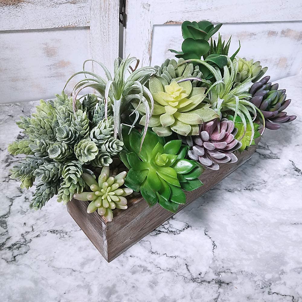 15 Pack Assorted Artificial Su - Echeveria Succulent review and price
