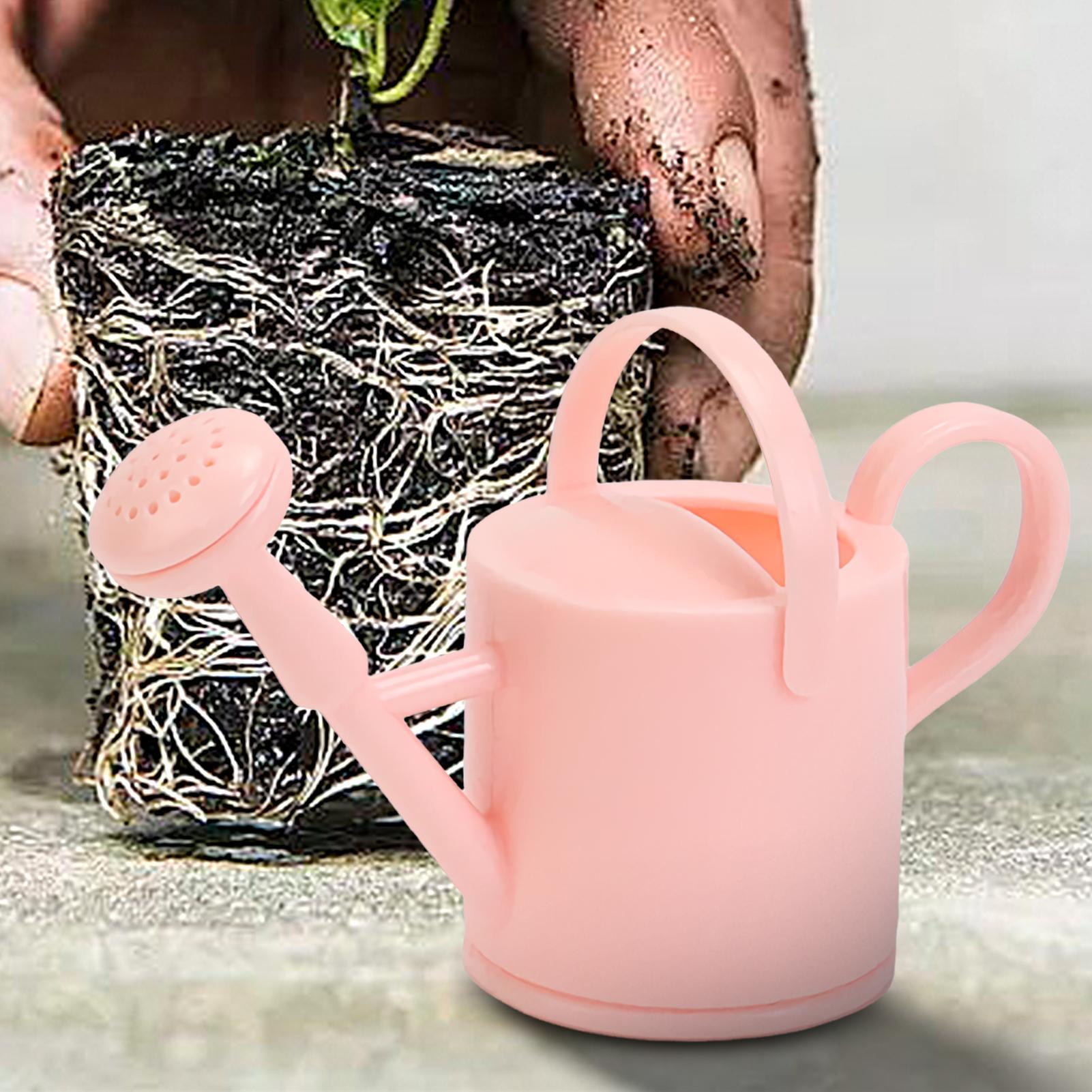 Small Kids Watering Can Flexib - Echeveria Succulent review and price