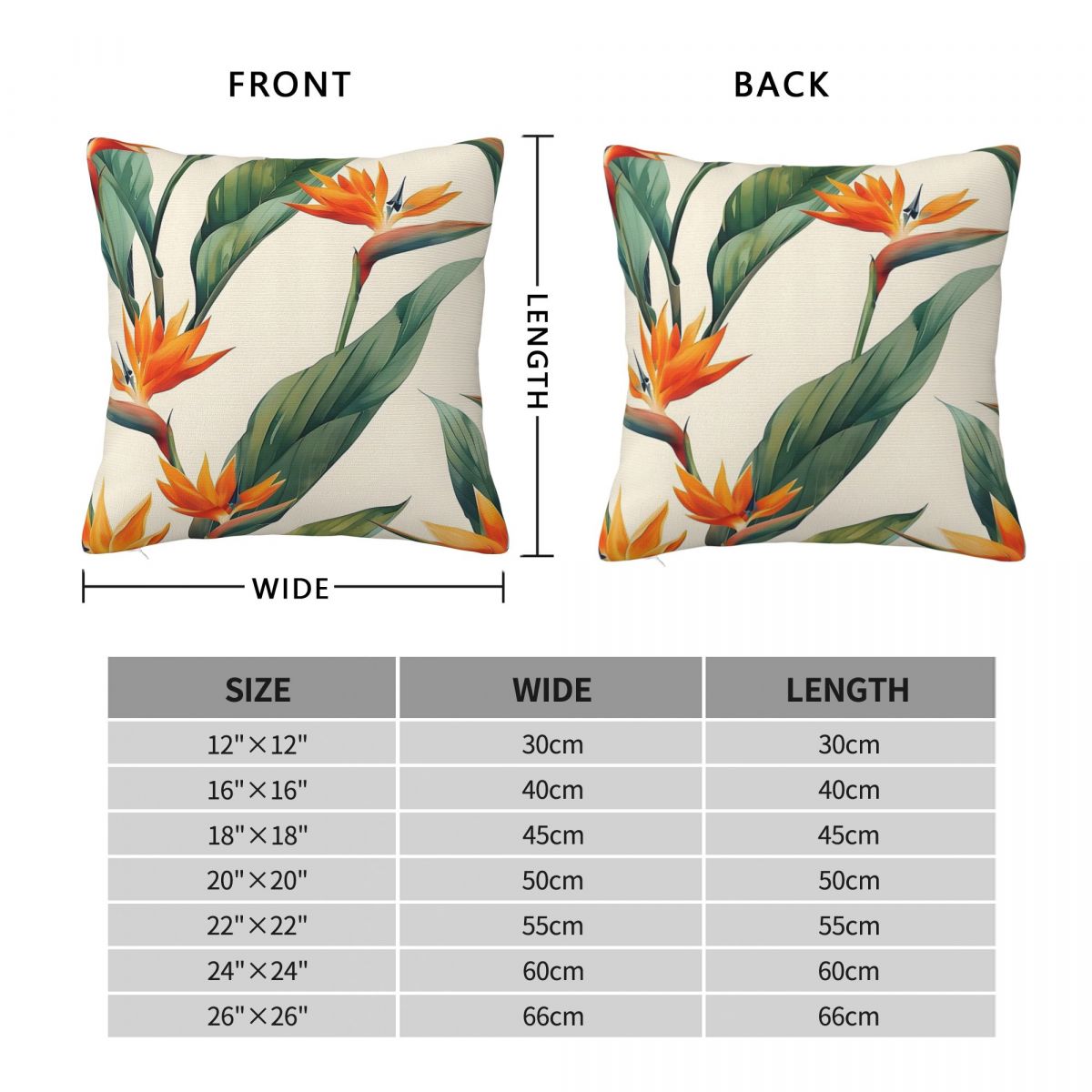 Bird Of Paradise Strelitzia Sq - Bird Paradise Strelitzia review and price