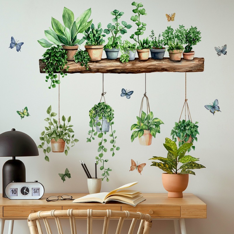 3D Potted Green Plant Shelf Wa - Echeveria Succulent review and price