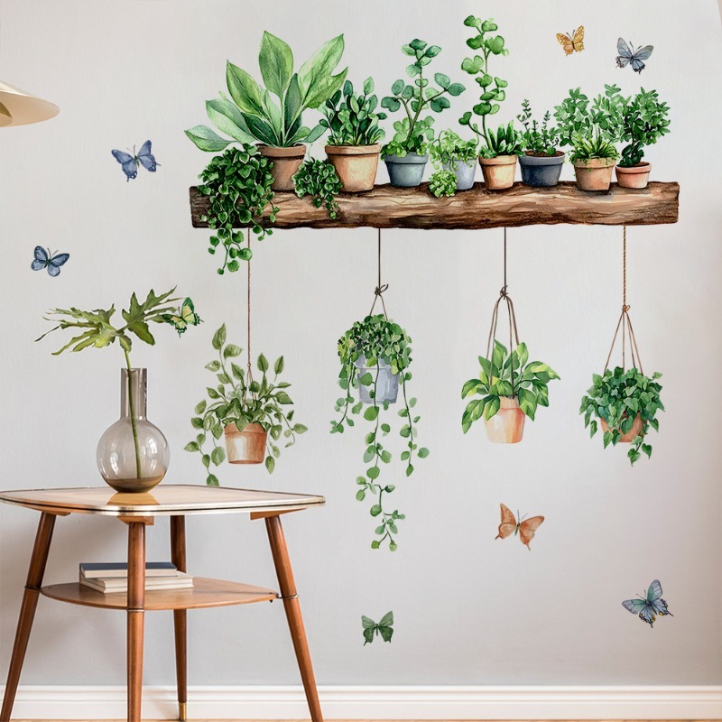 3D Potted Green Plant Shelf Wa - Echeveria Succulent review and price