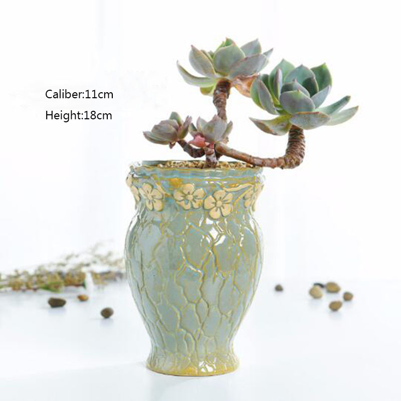 Succulent Plants Flowerpot Sma - Echeveria Succulent review and price