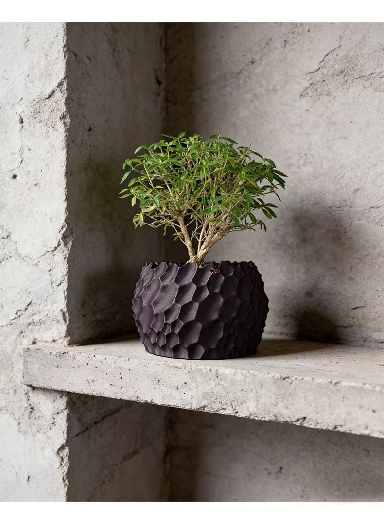 Textured Flower Pot Irregular  - Echeveria Succulent review and price