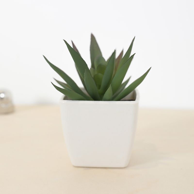 Mini Artificial Succulent Fair - Echeveria Succulent review and price